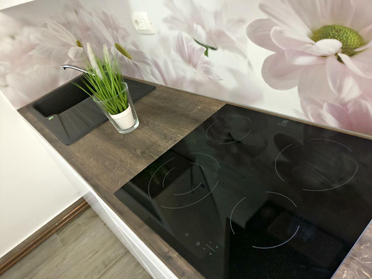 Apartments Vila Dk 马林斯卡 外观 照片