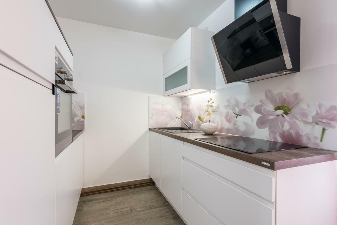 Apartments Vila Dk 马林斯卡 外观 照片